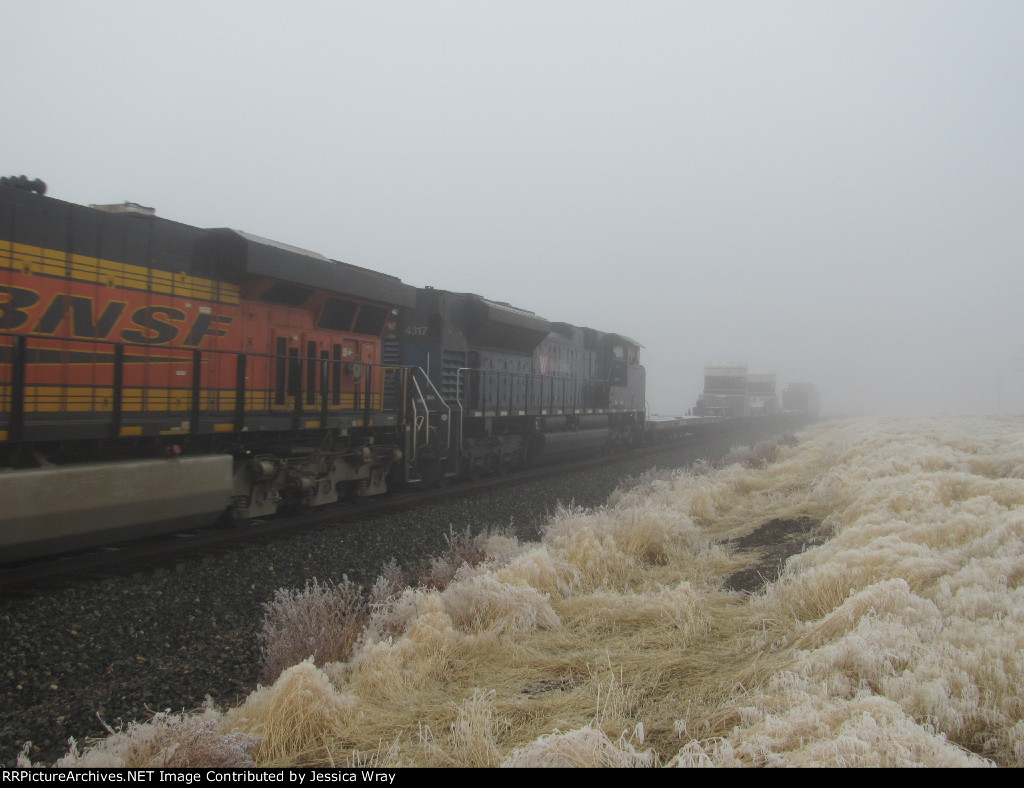 Aussie now on Idaho rails